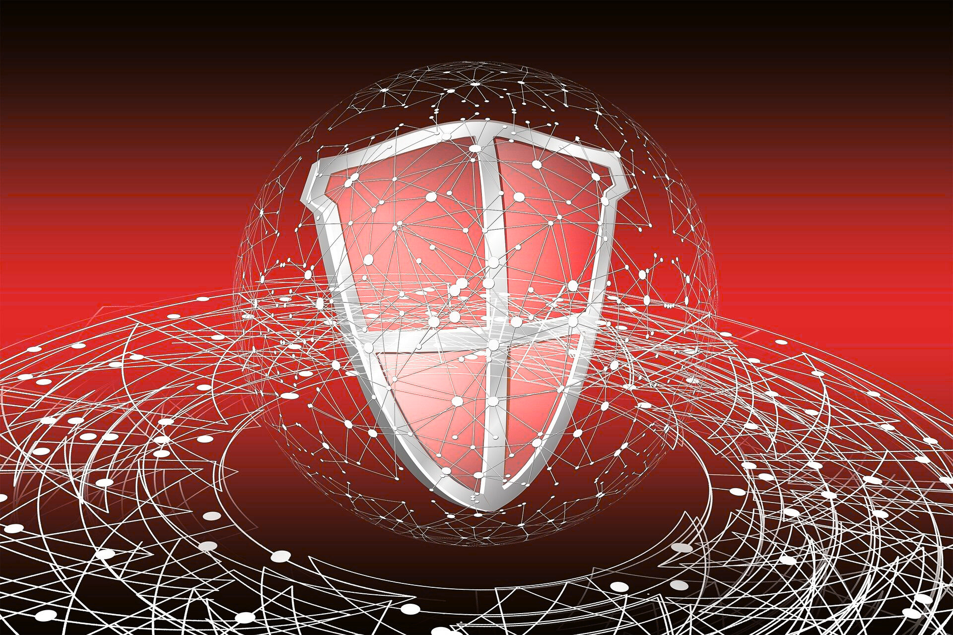 Application Security Services